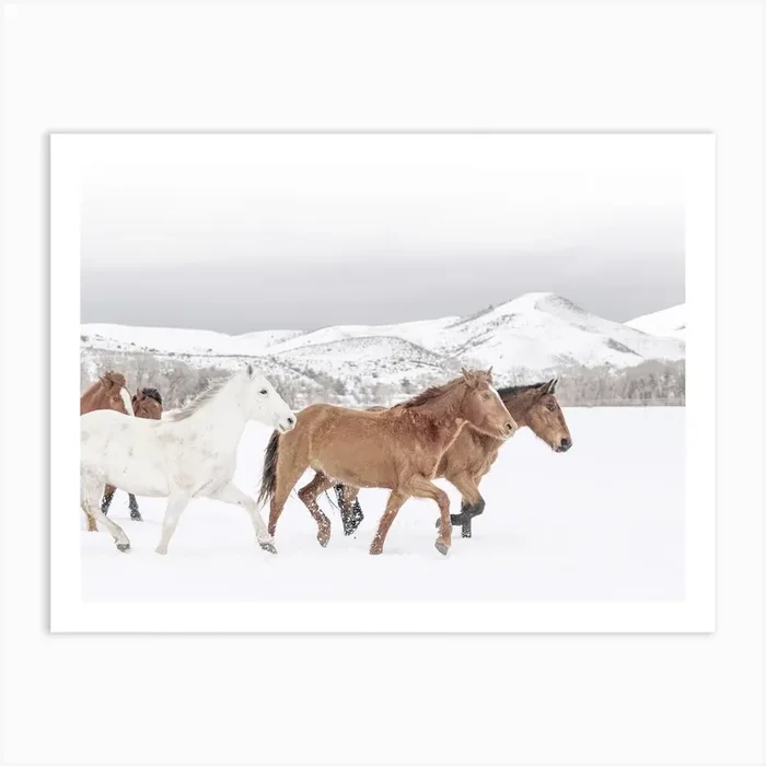 Horses In Snow Art Print by Valley Grove