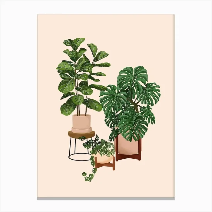 House Plants 17 Canvas Print by Gush Art Studio