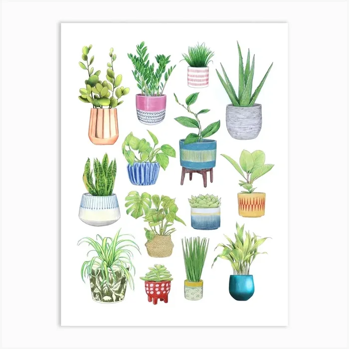 Houseplants Art Print by Christine Berrie Illustration