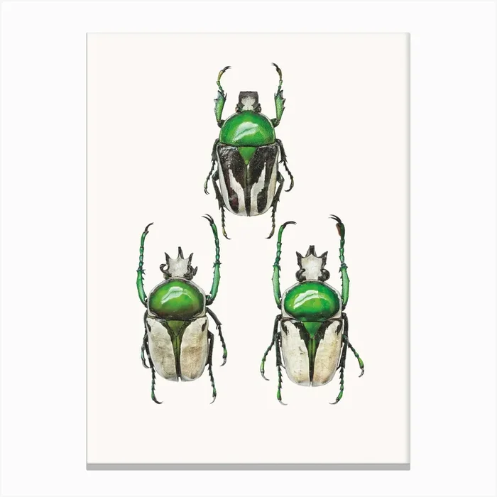 Insects IV Canvas Print by Mariëlle Leenders