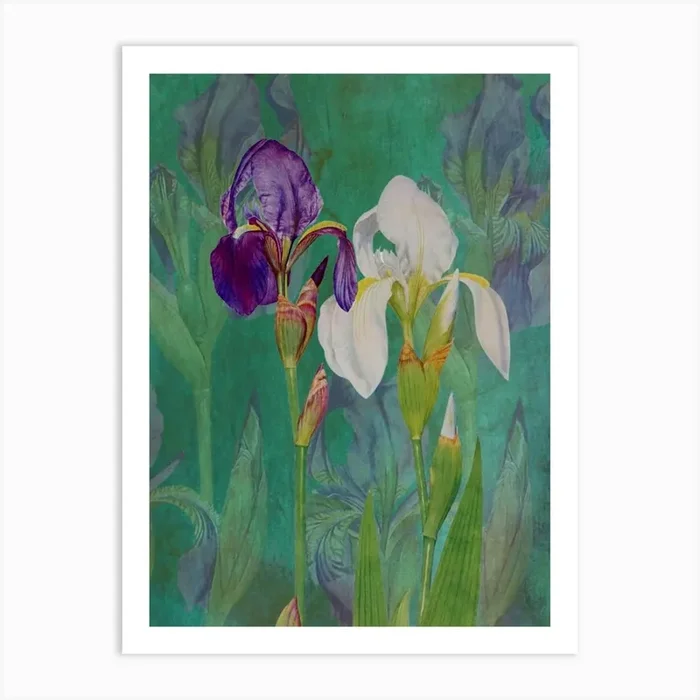 Iris Painting Art PrintA by Angela
