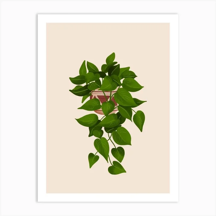 Jade Pothos Plant Art Print by Gush Art Studio