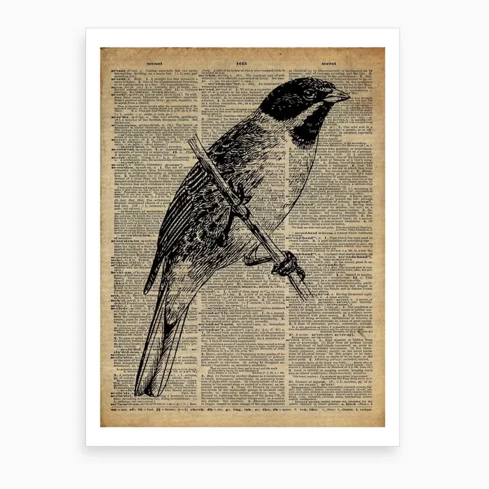 Jay Bird Art Print by Fishercraft