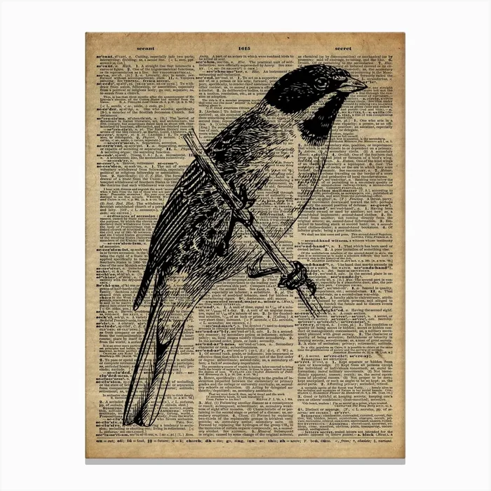 Jay Bird Canvas Print by Fishercraft