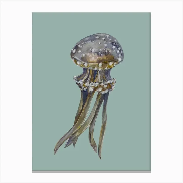 Jellyfish On Aqua Blue Canvas Print by Max Made Me