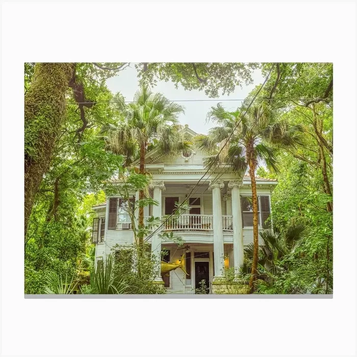 Jungle House Canvas Print by A Carousel Wandering
