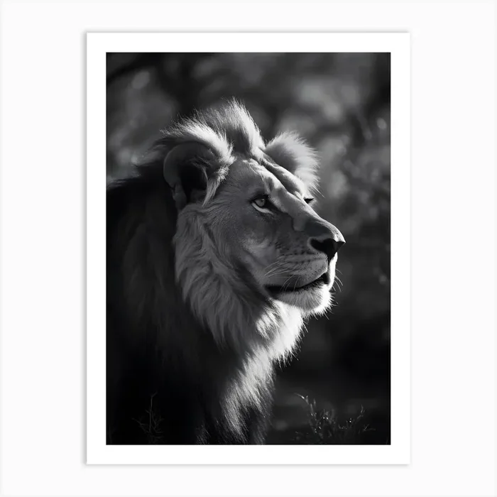 Lion in the Nature Art Print by drdigitaldesign
