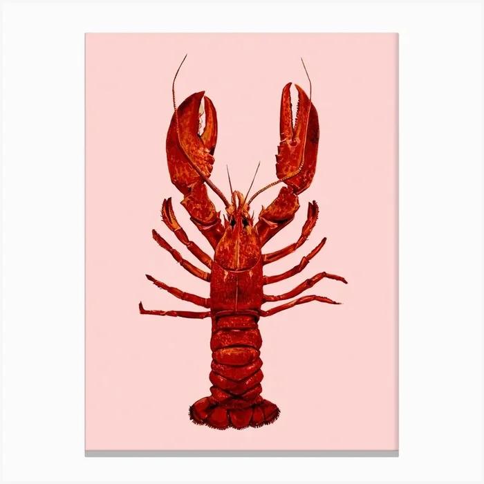 Lobster On Pink Canvas Print by Max Made Me