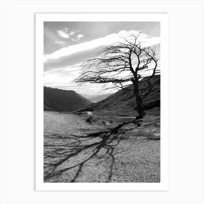 Lonely Tree – New Zealand Art Print by Alanda Turner