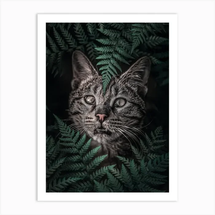 Meow Cat in Ferns Art Print by Arizrab