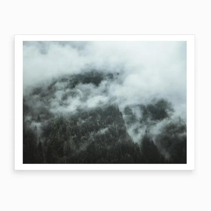 Misty Morning Art Print by Florian Schleinig