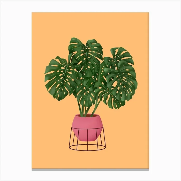 Monstera Deliciosa On Yellow Canvas Print by Gush Art Studio
