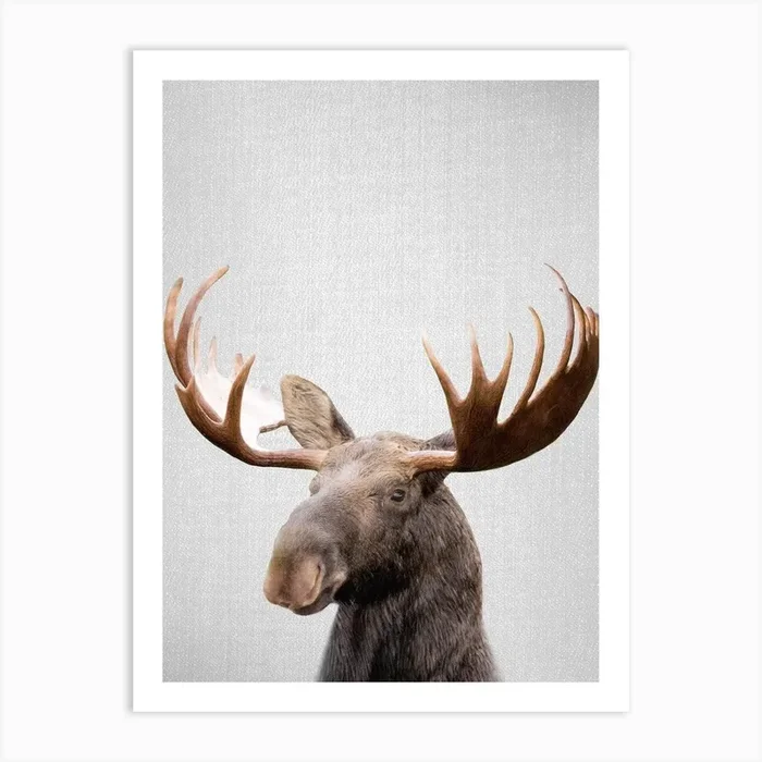 Moose Art Print by Gal Design