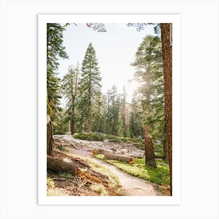 National Parks Yosemite Art Print by Jodee Debes