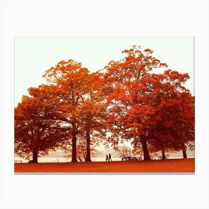 Orange Autumn In New York Canvas Print by A Carousel Wandering