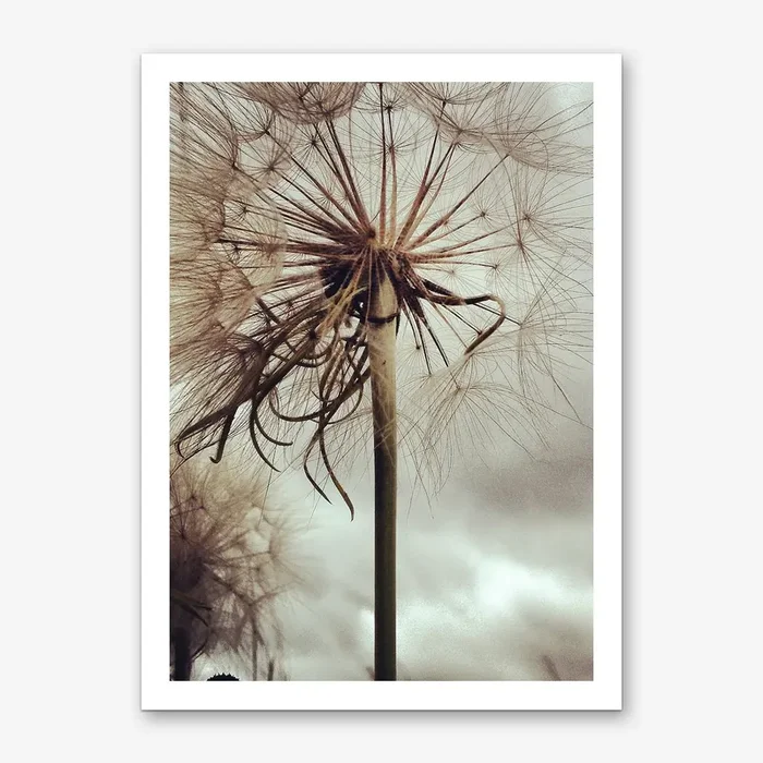 Overnight Fame Art Print by Ballack Art House