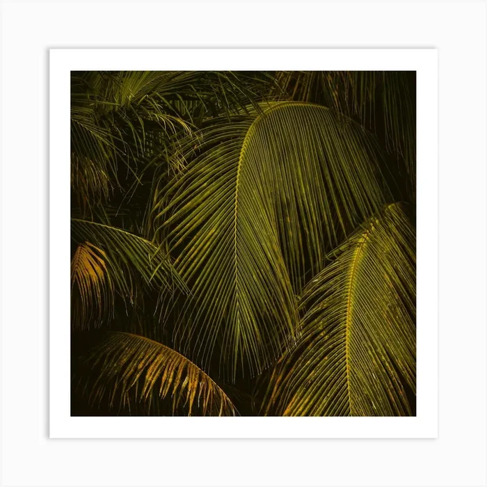 Palm Leaves at Golden Hour Square Art Print by Andreas Danner Creative