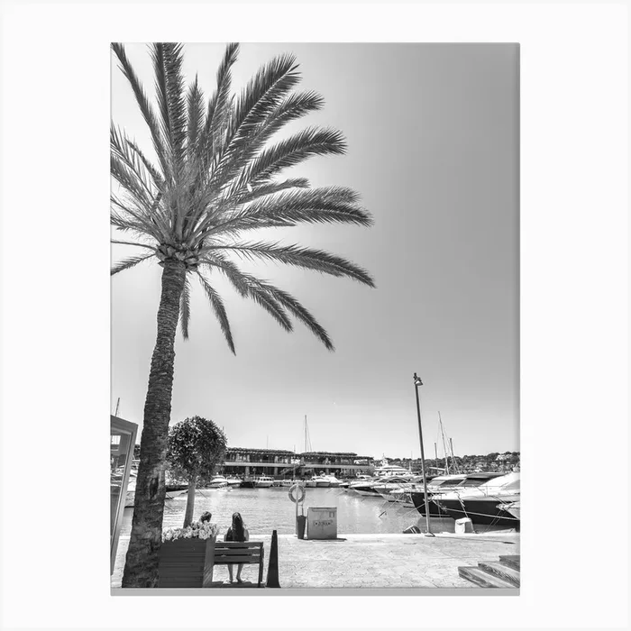 Palm Tree At The Marina Canvas Print by imagine