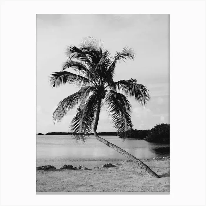 Palm Tree On The Beach Canvas Print by Amber den Oudsten