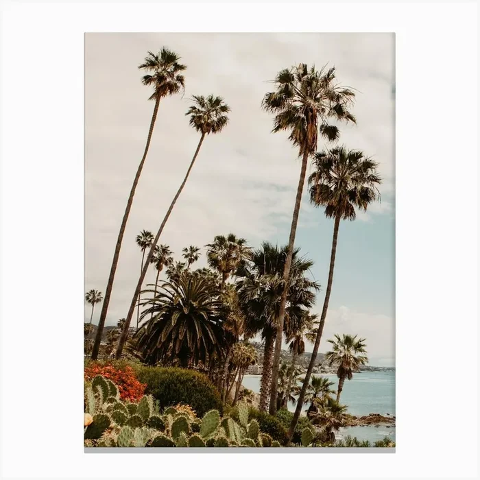 Palm Trees At Laguna Beach Canvas Print by Amber den Oudsten