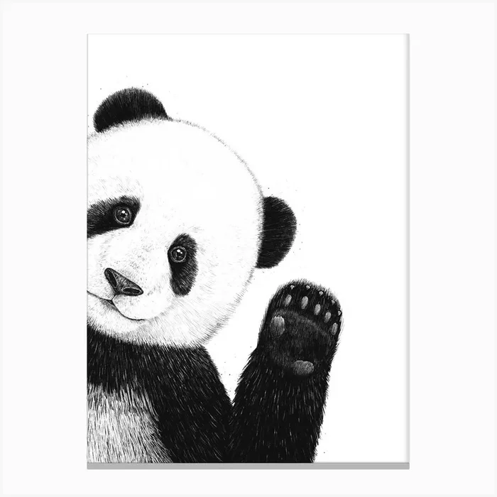 Panda Canvas Print by Valeriya Korenkova