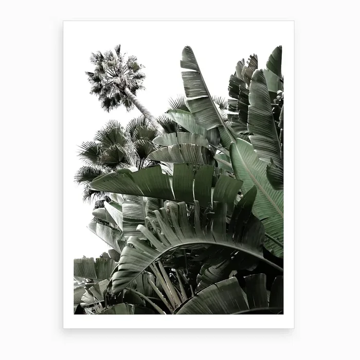 Paridiam Art Print by Ballack Art House