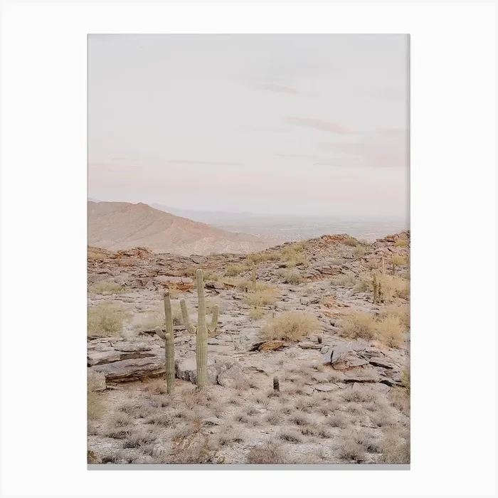 Pastel Desert Sky Canvas Print by Valley Grove