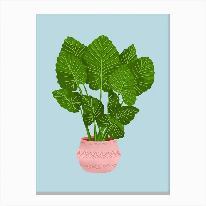 Philodendron Glorium On Blue Canvas Print by Gush Art Studio