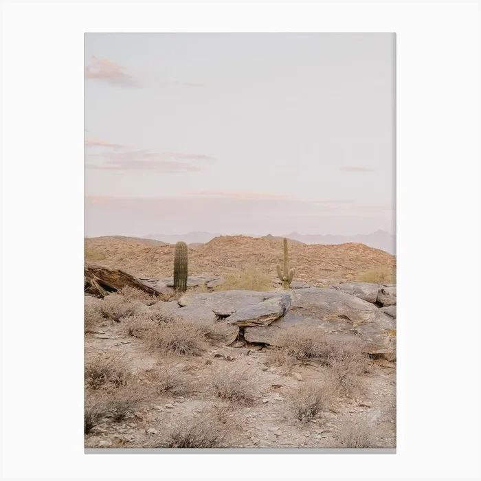 Pink Desert Sunset Canvas Print by Valley Grove
