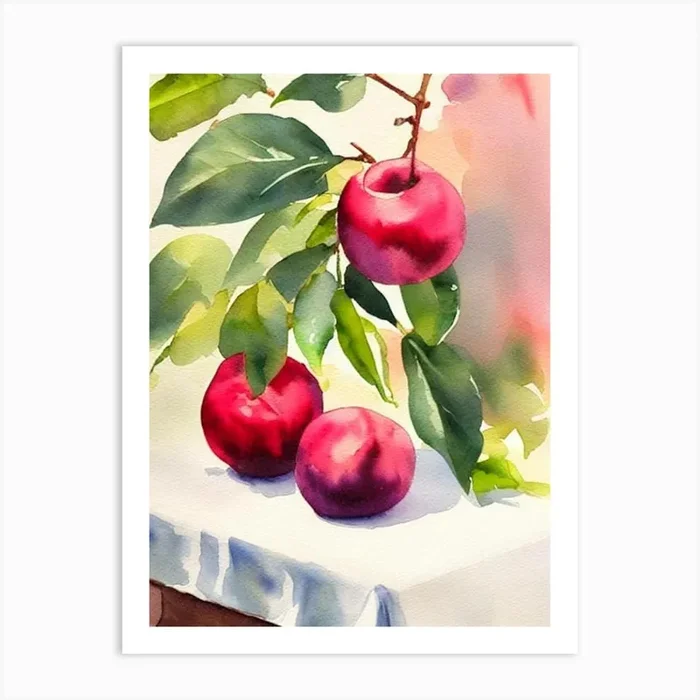 Plum Italian Watercolour fruit Art Print by The Fruitery