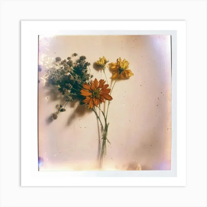 Polaroid Art PrintF by Fareda