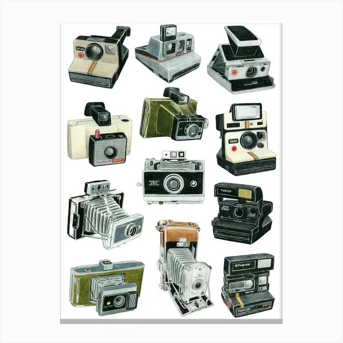 Polaroid Cameras Canvas Print by Christine Berrie Illustration