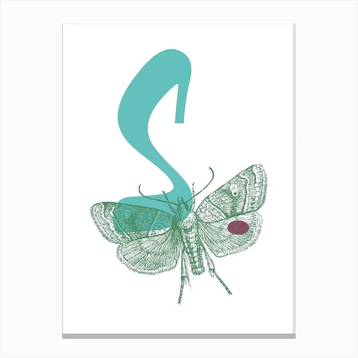S Canvas Print by Froilein Juno