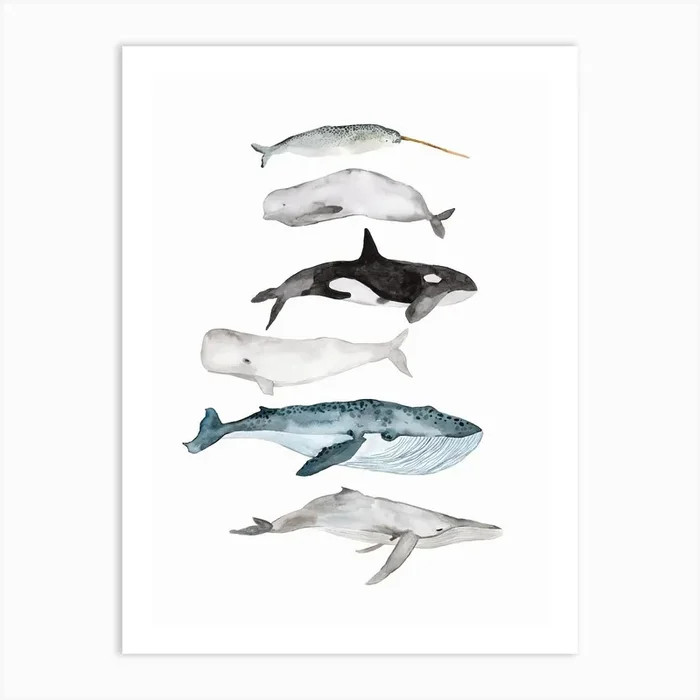 Sea Life Whales Art Print by Mantika Studio