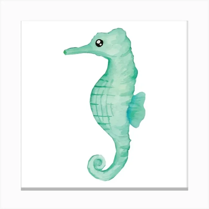 Seahorse Canvas Print by Hilia
