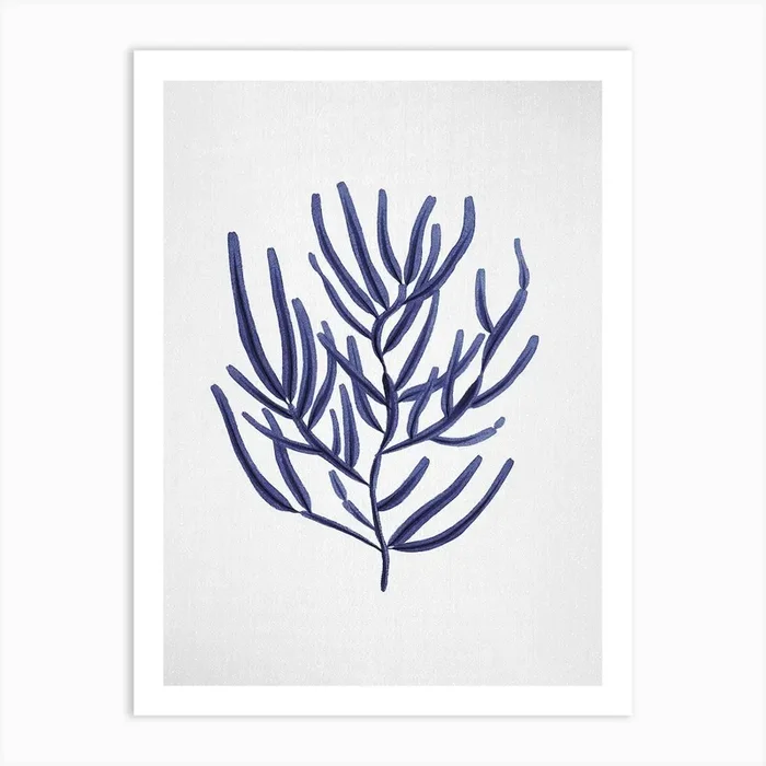 Seaweed 4 Art Print by Gal Design