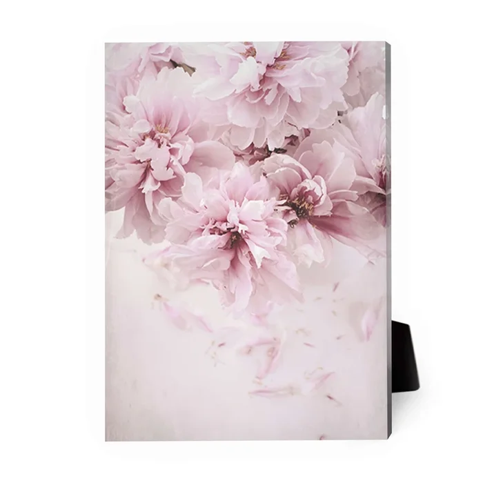 Shaded Pink Desktop Canvas