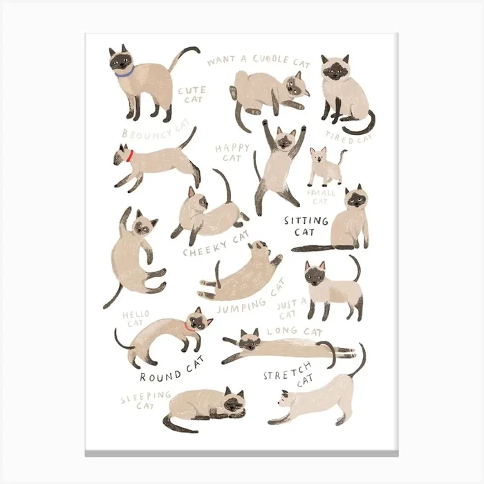 Siamese Canvas Print by Hanna Melin