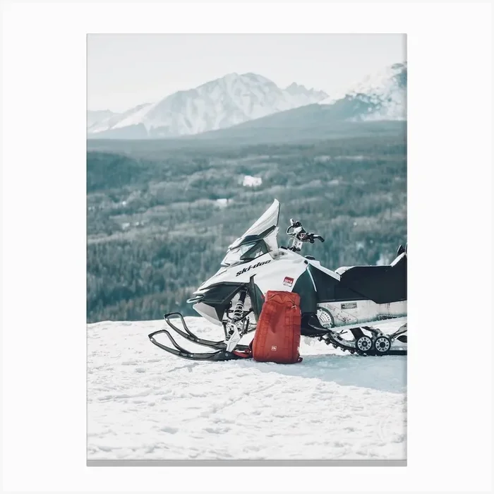 Snow Mobile Canvas Print by Alameda