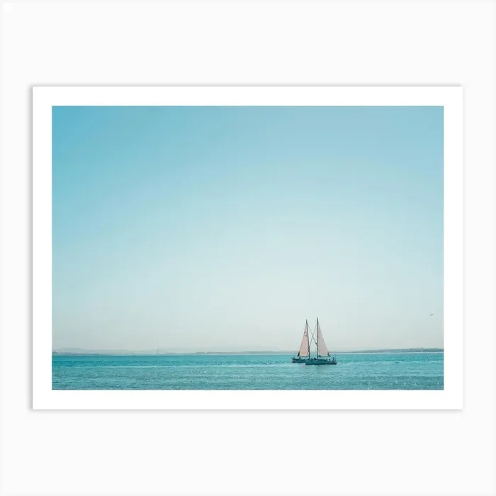 Solitary Seagull Art Print by A Carousel Wandering