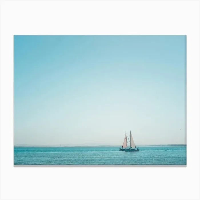 Solitary Seagull Canvas Print by A Carousel Wandering
