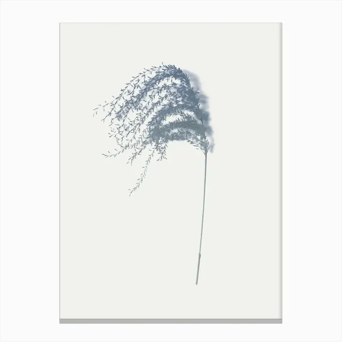 Spike I Canvas Print by Elena Veronese