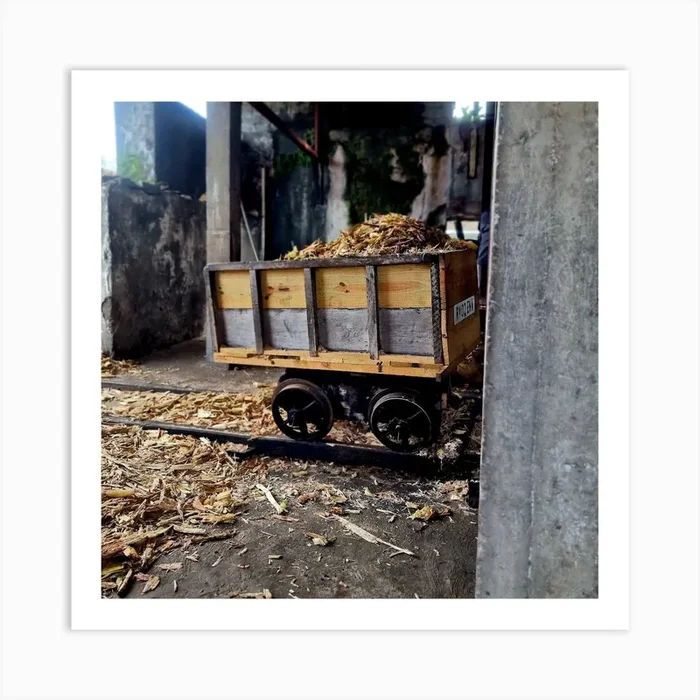 Sugar Cane Bagass Art Print by Joseph Vaughan Photography
