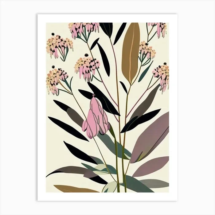 Swamp Milkweed Wildflower Modern Muted Colours Art PrintWS by Wildflower Studio
