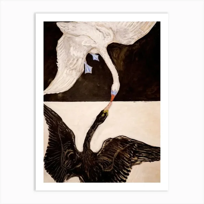 Swans Art PrintA by AestheticPrints
