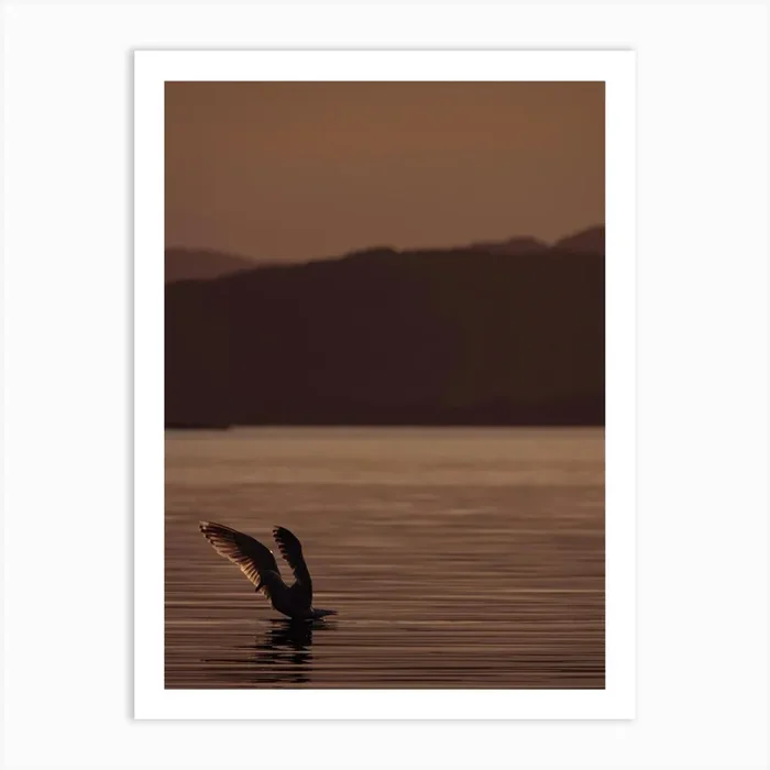Take off Art Print by Harry Hutchison