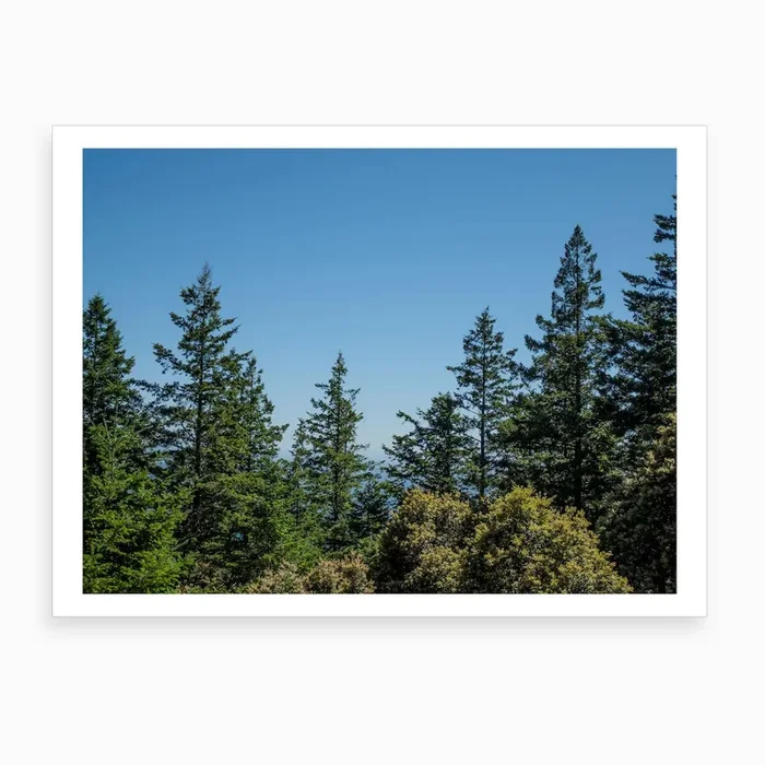 Tree Line Art Print by Khalogram Creative