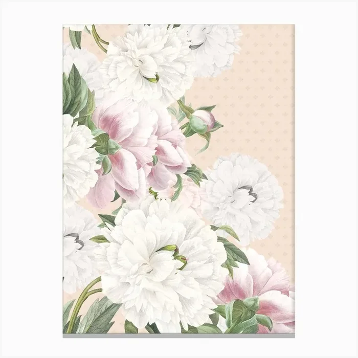 Vintage Cream Peonies Canvas Print by Bloomery Decor