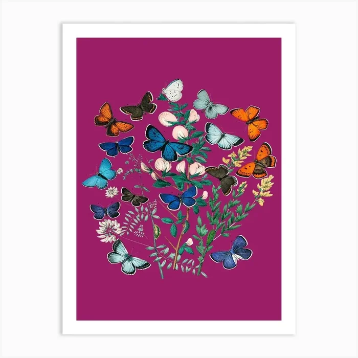 Vintage Flowers Butterfly Floral Pink Illustration Art Print by Ink North