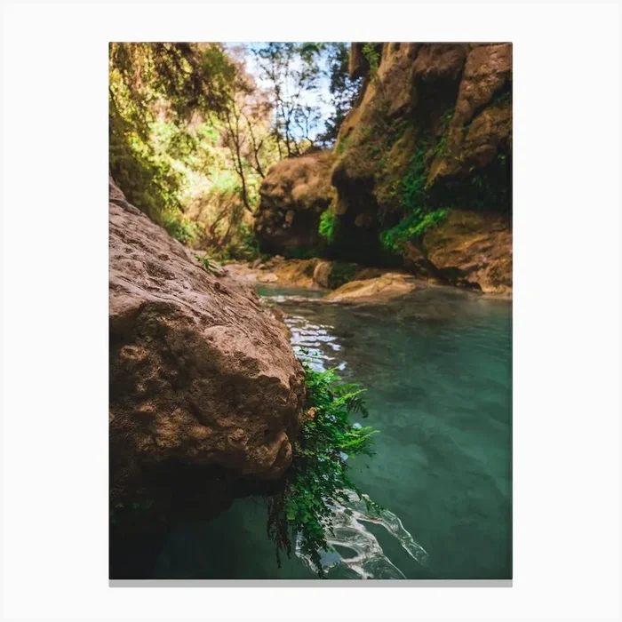Water In The Canyon Canvas PrintDM by Diego Morrison